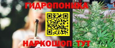 бошки Гатчина